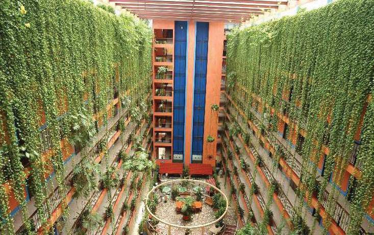 Hotel Acapulco Tortuga Ngoại thất bức ảnh